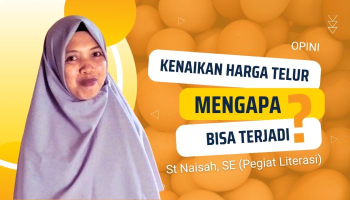 Kenaikan Harga Telur, Mengapa bisa terjadi?