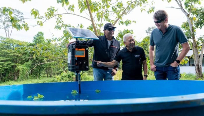 Indosat-GSMA Berkolaborasi dalam Program Digitalisasi ​Konservasi Mangrove