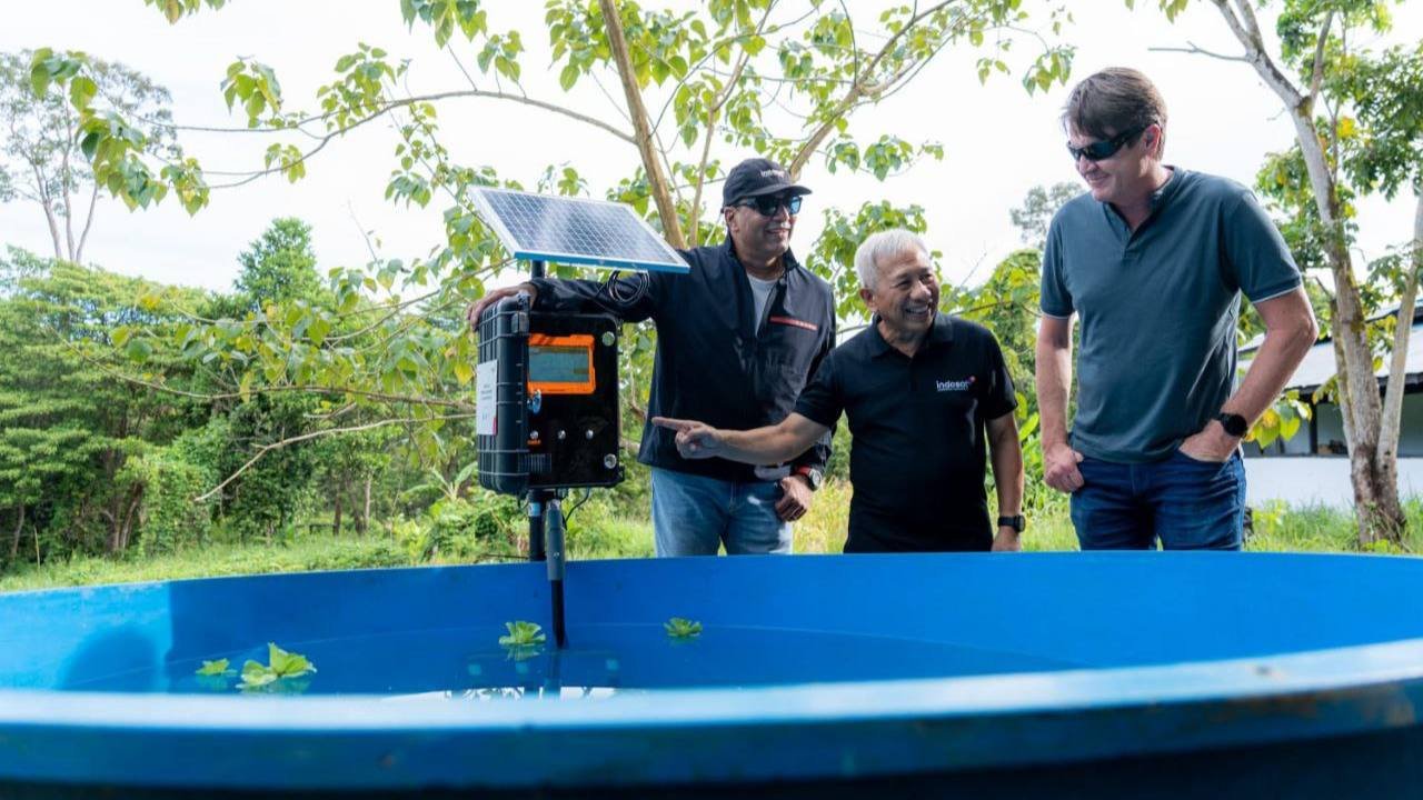 Indosat-GSMA Berkolaborasi dalam Program Digitalisasi ​Konservasi Mangrove