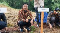 Wajo Kembali Produksi Kokon Setelah 20 Tahun, Bupati Amran: Terima Kasih Pak Gubernur