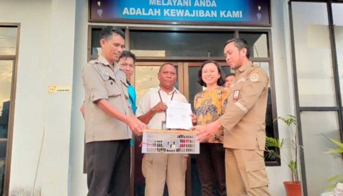 Karantina Pertanian Makassar Serahkan Nuri Kepala Hitam Tak Bertuan ke BKSDA