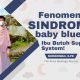 Fenomena Sindrom Baby Blues, Ibu Butuh Support System!