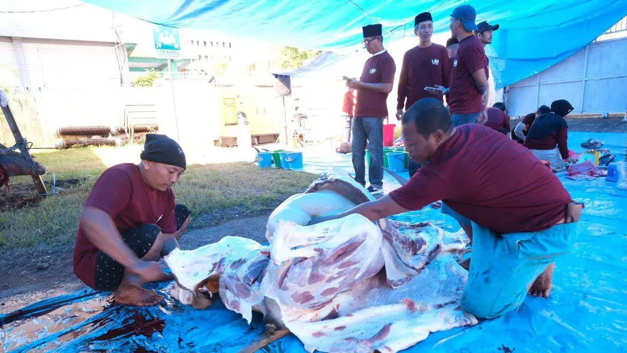 Idul Adha 1444 H: YBM PLN UID Sulselrabar Tebar 1800 Bingkisan Berkah Daging Kurban 2 Idul Adha 1444 H: YBM PLN UID Sulselrabar Tebar 1800 Bingkisan Berkah Daging Kurban