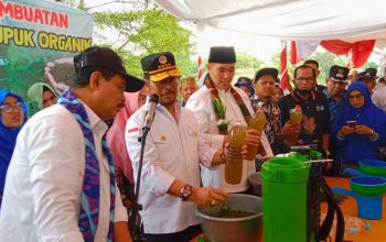Antisipasi Krisis Pangan, Mentan SYL Dorong Budidaya Sorgum di Pangkep 7 Antisipasi Krisis Pangan, Mentan SYL Dorong Budidaya Sorgum di Pangkep