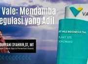 PT Vale: Mendamba Regulasi yang Adil