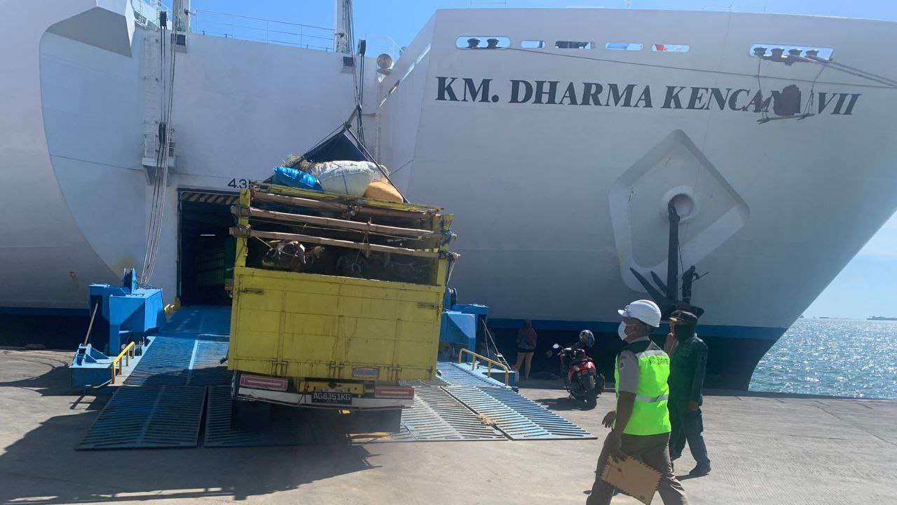 Dokumen Tak Lengkap, Karantina Pertanian Makassar Tolak 6 Ekor Kerbau Asal Surabaya