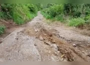 Dinas PMD Sulsel Akan Segera Intervensi 11 Desa Sangat Tertinggal