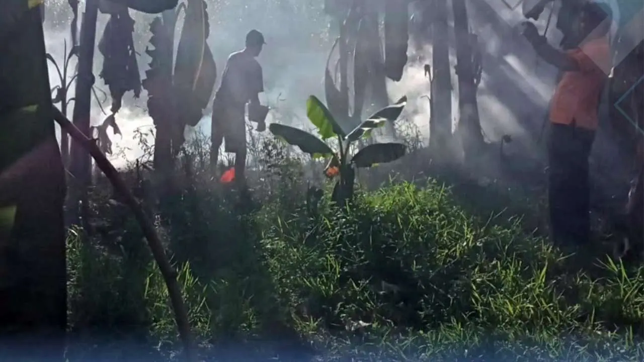 Camat Manggala Terjunkan Damtor Atasi Kebakaran Lahan Kosong Antara Rumah Warga
