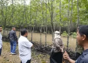 Gubernur Andi Sudirman Minta DKP Sulsel Contoh Kesuksesan Carbon Trading di Kepri untuk Tingkatkan PAD