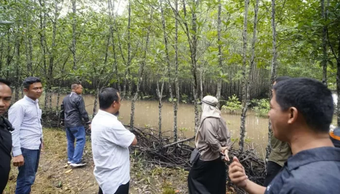 Gubernur Andi Sudirman Minta DKP Sulsel Contoh Kesuksesan Carbon Trading di Kepri untuk Tingkatkan PAD