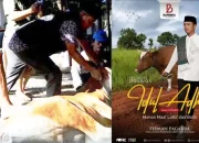 Hari Raya Idul Adha 1444 H, Bapenda Makassar Berkurban Sapi