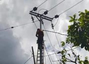 Jangkau Daerah 3T, Tiga Desa di Sulsel Telah Dilistriki HUT Ke-78 Kemerdekaan RI