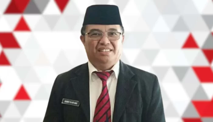 Usai Purna Bakti, Gubernur Sulsel Percayakan Haris Nawawi dalam TGUPP