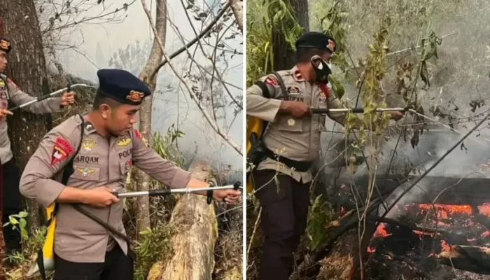 Brimob Polda Sulsel Diterjunkan Atasi Karhutla di Tompobulu, Maros