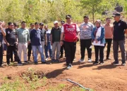 Pj Gubernur Bahtiar Tinjau Perkebunan di Desa Swasembada Toddopulia, Dorong Gerakan Gemar Menanam Pisang