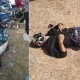 Warga Romanga Jeneponto Digegerkan Penemuan Mayat Pria, Ternyata Ini Penyebab Korban Meninggal