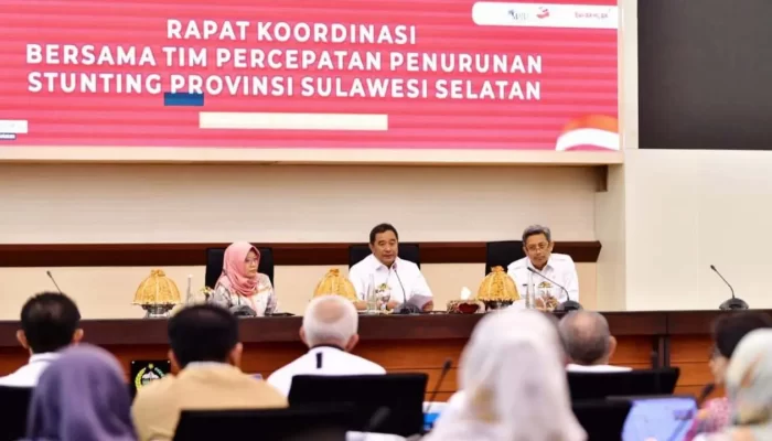 Pj Gubernur Sulsel Ajak Warga & Swasta Proaktif Atasi Stunting
