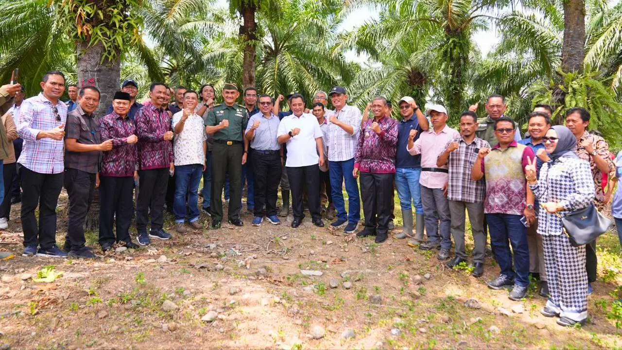 Setahun Targetkan 200 Juta Pohon, Sulsel Bakal Dikenal Provinsi Penghasil Pisang Terbesar di Indonesia