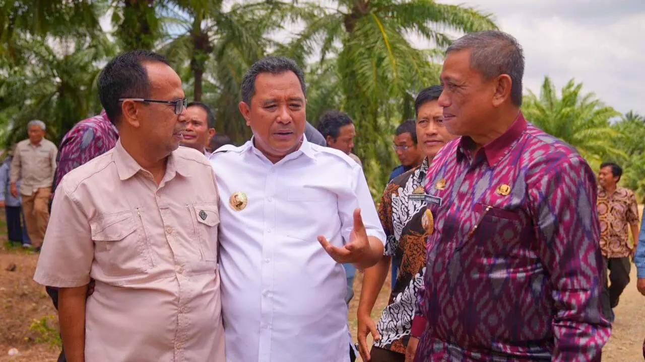 Setahun Targetkan 200 Juta Pohon, Sulsel Bakal Dikenal Provinsi Penghasil Pisang Terbesar di Indonesia