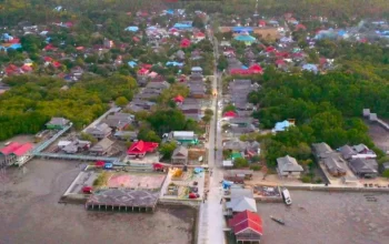4.455 Pelanggan di Pulau Kaledupa Kini Nikmati Terangnya Listrik PLN 24 Jam