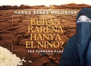 Harga Beras Melonjak Bukan Hanya Karena El Nino?