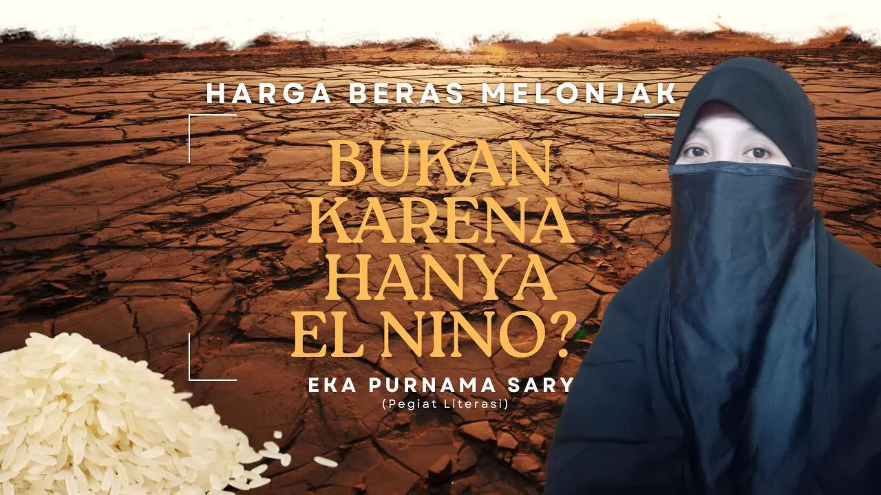 Harga Beras Melonjak Bukan Hanya Karena El Nino?