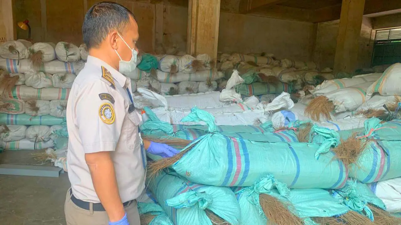 ekspor sapu lidi ke negara China