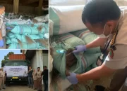 Perdana, Karantina Makassar Sertifikasi 27 Ton Sapu Lidi Tujuan China