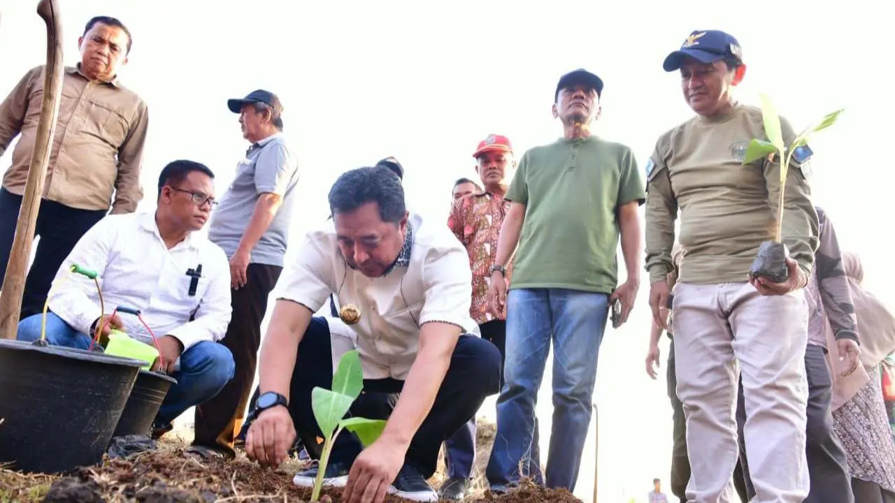 Budidaya Pisang, Pj Gubernur Bahtiar Tanam Perdana di Mare 2 Budidaya Pisang, Pj Gubernur Bahtiar Tanam Perdana di Mare