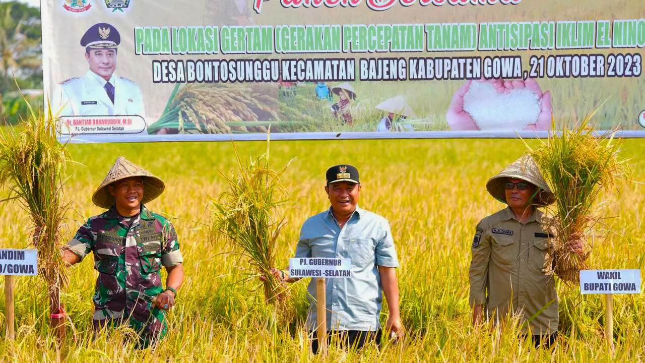 Kembali Panen Raya Padi, Pj Gubernur Buktikan Sulsel Sukses Tangani Dampak El Nino