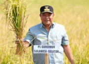 Kembali Panen Raya Padi, Pj Gubernur Buktikan Sulsel Sukses Tangani Dampak El Nino