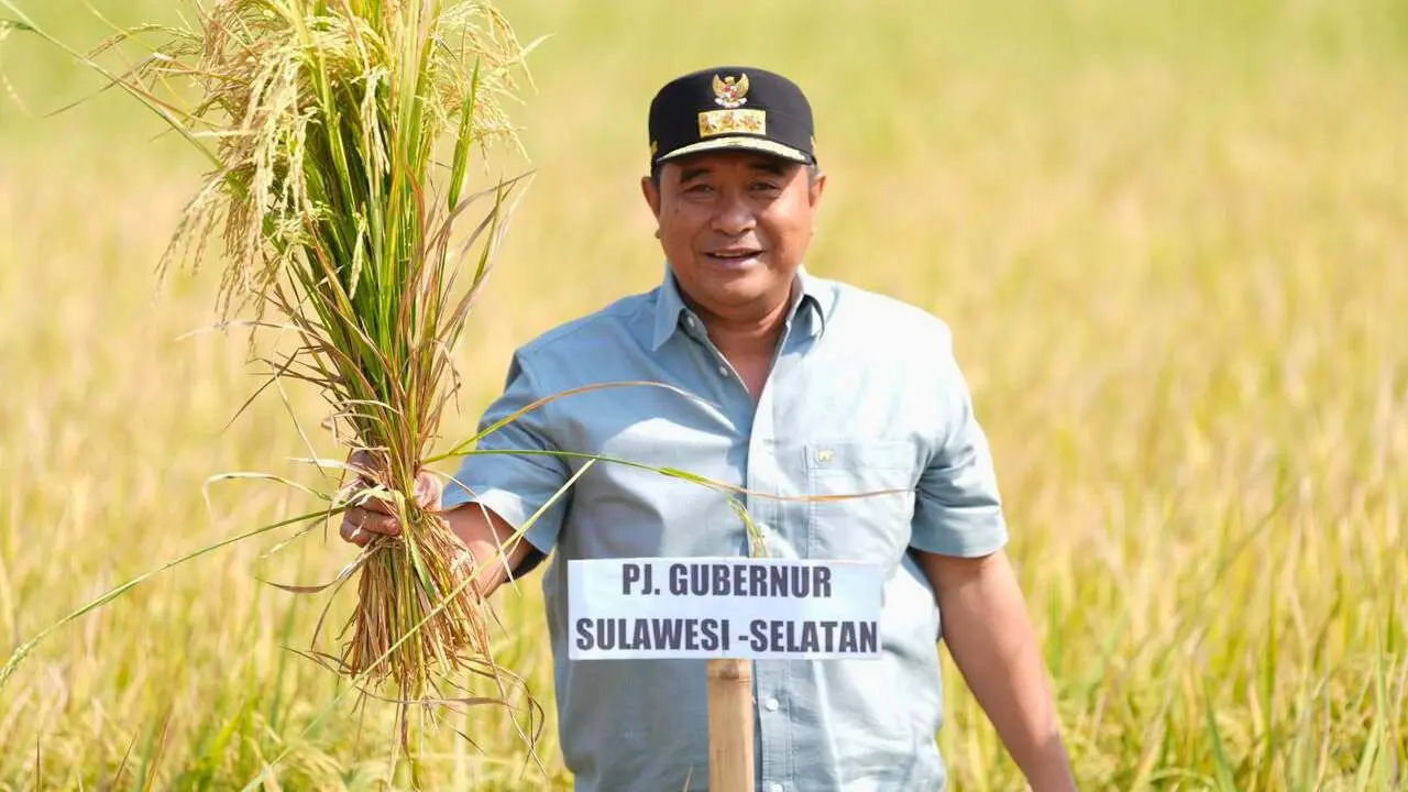 Kembali Panen Raya Padi, Pj Gubernur Buktikan Sulsel Sukses Tangani Dampak El Nino