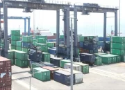 Benteng Ekonomi, Pelindo Regional 4 Catat Pertumbuhan Ekspor yang Positif