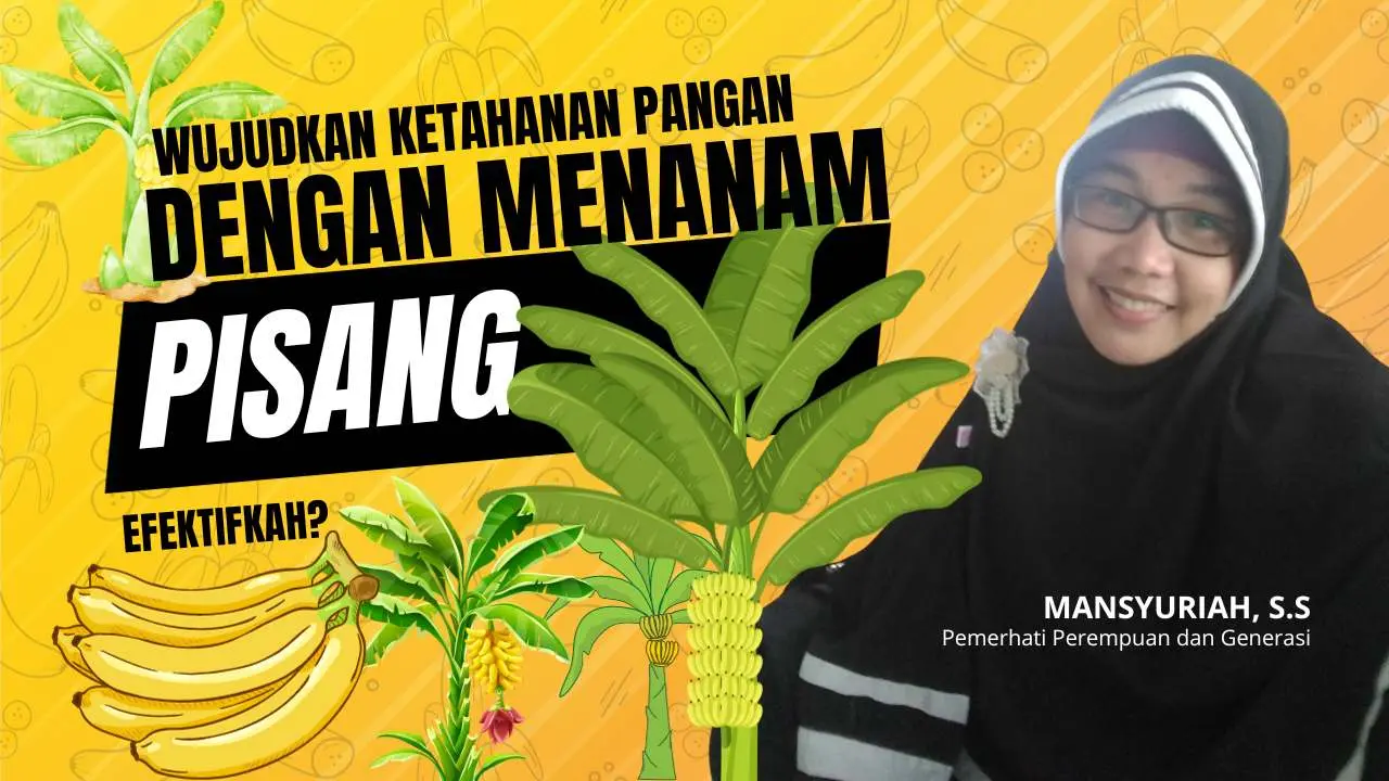 Wujudkan Ketahanan Pangan dengan Menanam Pisang, Efektifkah?