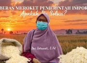 Beras Meroket Pemerintah Impor, Apakah Itu Solusi?