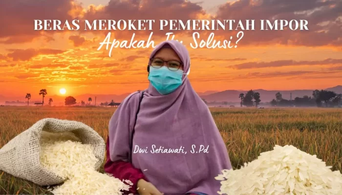 Beras Meroket Pemerintah Impor, Apakah Itu Solusi?
