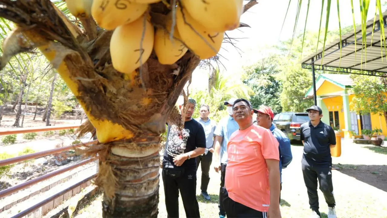 Penjabat Gubernur Bahtiar Kunjungi Kebun Raya Pucak Maros, Minta Ditanami Flora Khas Sulsel