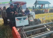 Pj Gubernur Sulsel & Bupati Maros Panen Padi di Alatengae