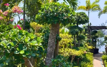 Tanjung Bunga Makassar, Tempat dengan Pemandangan Indah dan Surga Bagi Para Pecinta Bunga