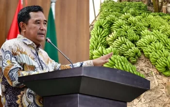 Pj Gubernur Bahtiar Tegaskan Surat Edaran Dana Desa untuk Budidaya Pisang Hanya Bersifat Imbauan