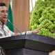 Pj Gubernur Bahtiar Tegaskan Surat Edaran Dana Desa untuk Budidaya Pisang Hanya Bersifat Imbauan