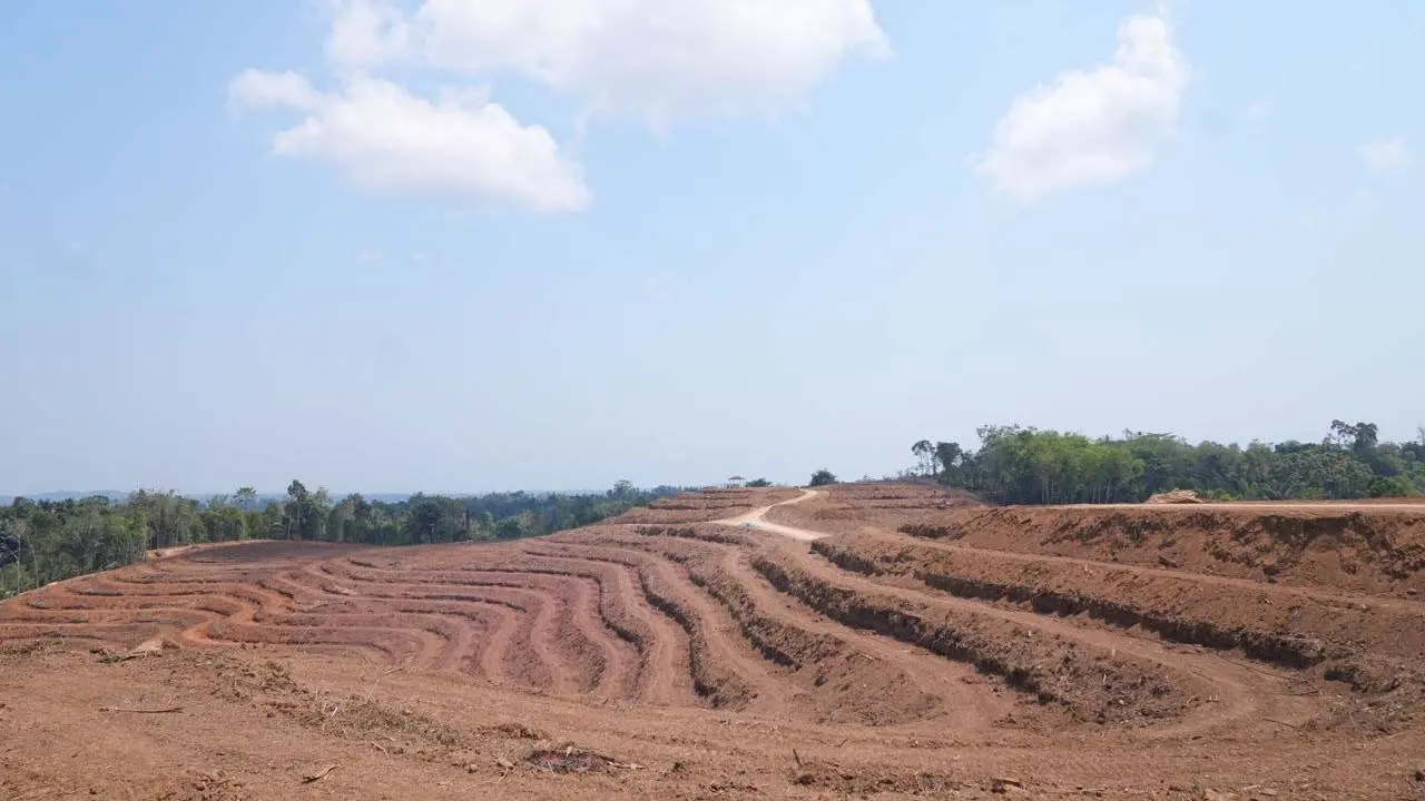 Penjabat Gubernur Sulsel Tanam Pisang di Lahan 20 Hektare di Sinjai