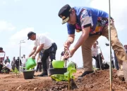 Penjabat Gubernur Sulsel Tanam Pisang di Lahan 20 Hektare di Sinjai