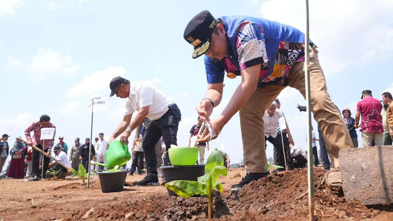 Penjabat Gubernur Sulsel Tanam Pisang di Lahan 20 Hektare di Sinjai