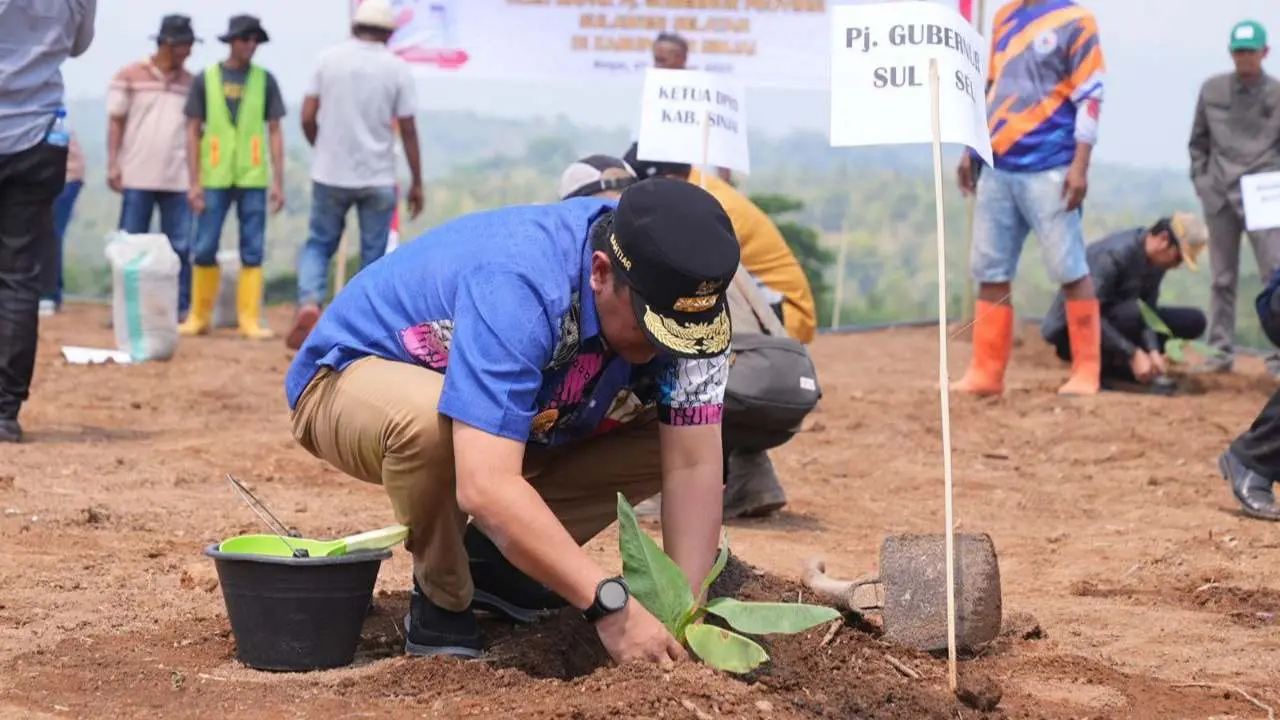 Penjabat Gubernur Sulsel Tanam Pisang di Lahan 20 Hektare di Sinjai