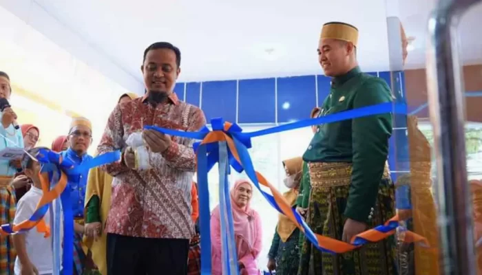 Gubernur Sulsel Resmikan Mall Pelayanan Publik Pangkep di Puncak HUT ke-63