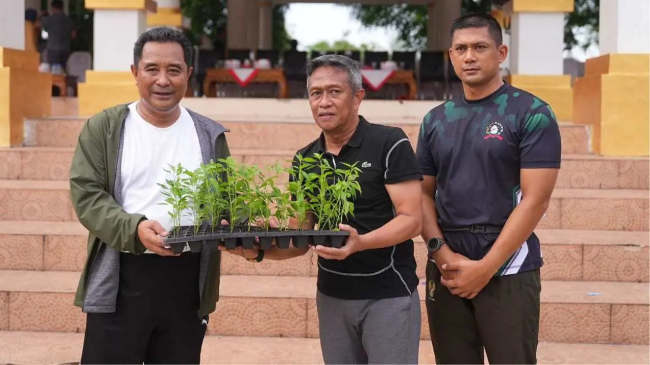 Pj Gubernur Bahtiar Bagikan Bibit Cabai di Lapangan Merdeka