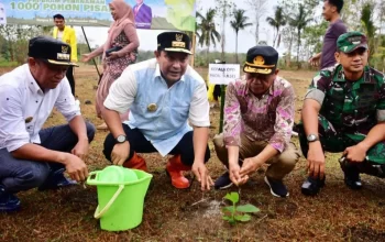 Pj Gubernur Bahtiar dan Rektor IAIN Bone Tanam 1.000 Pohon Pisang Cavendish