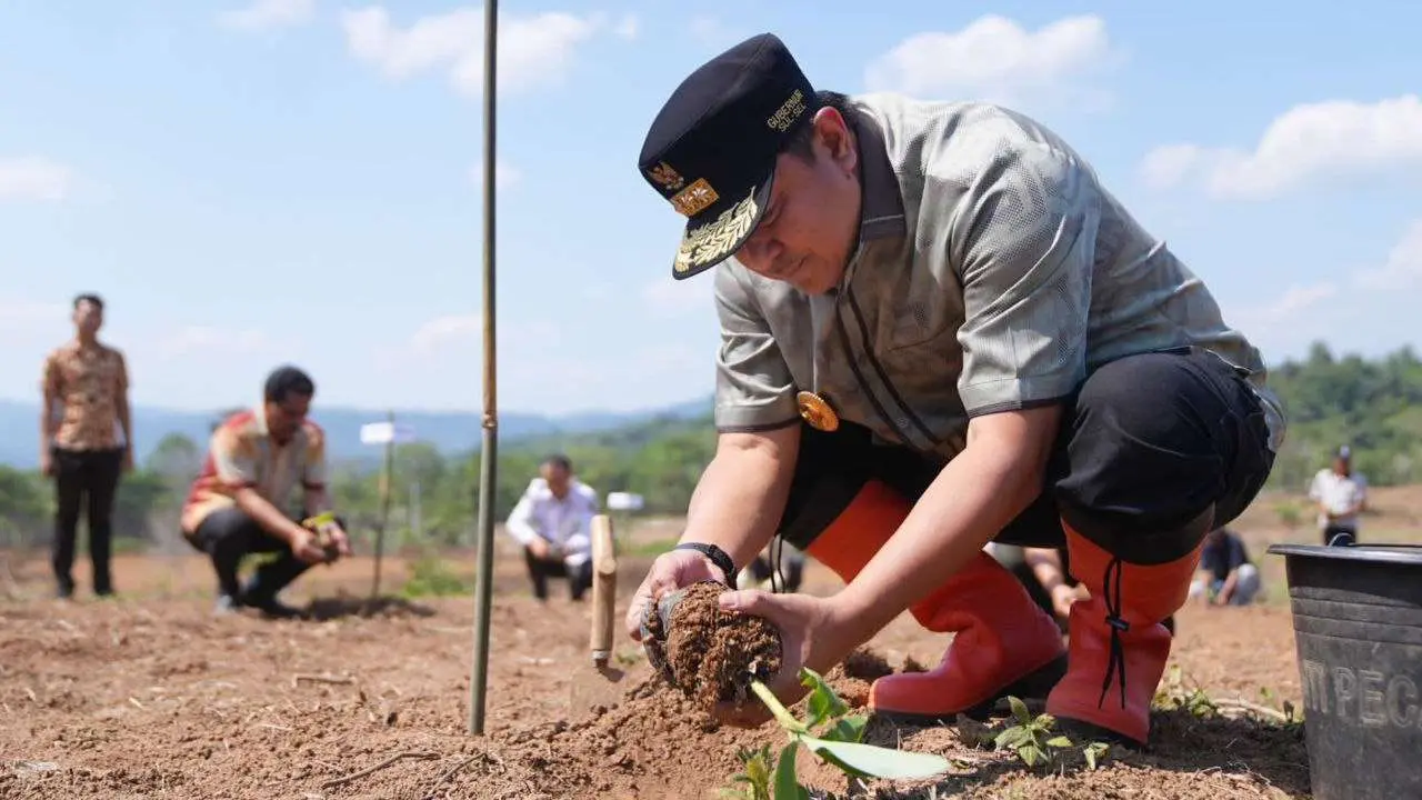 Pj Gubernur Bahtiar Ajarkan Para Petani Enrekang Cara Kembangkan Bibit Pisang