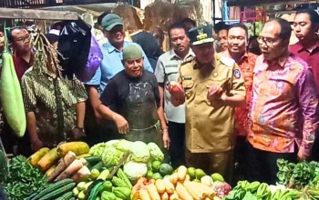 Operasi Pasar Jelang Nataru, Pj Gubernur Bahtiar bersama TPID Kunjungi Pasar Toddopuli